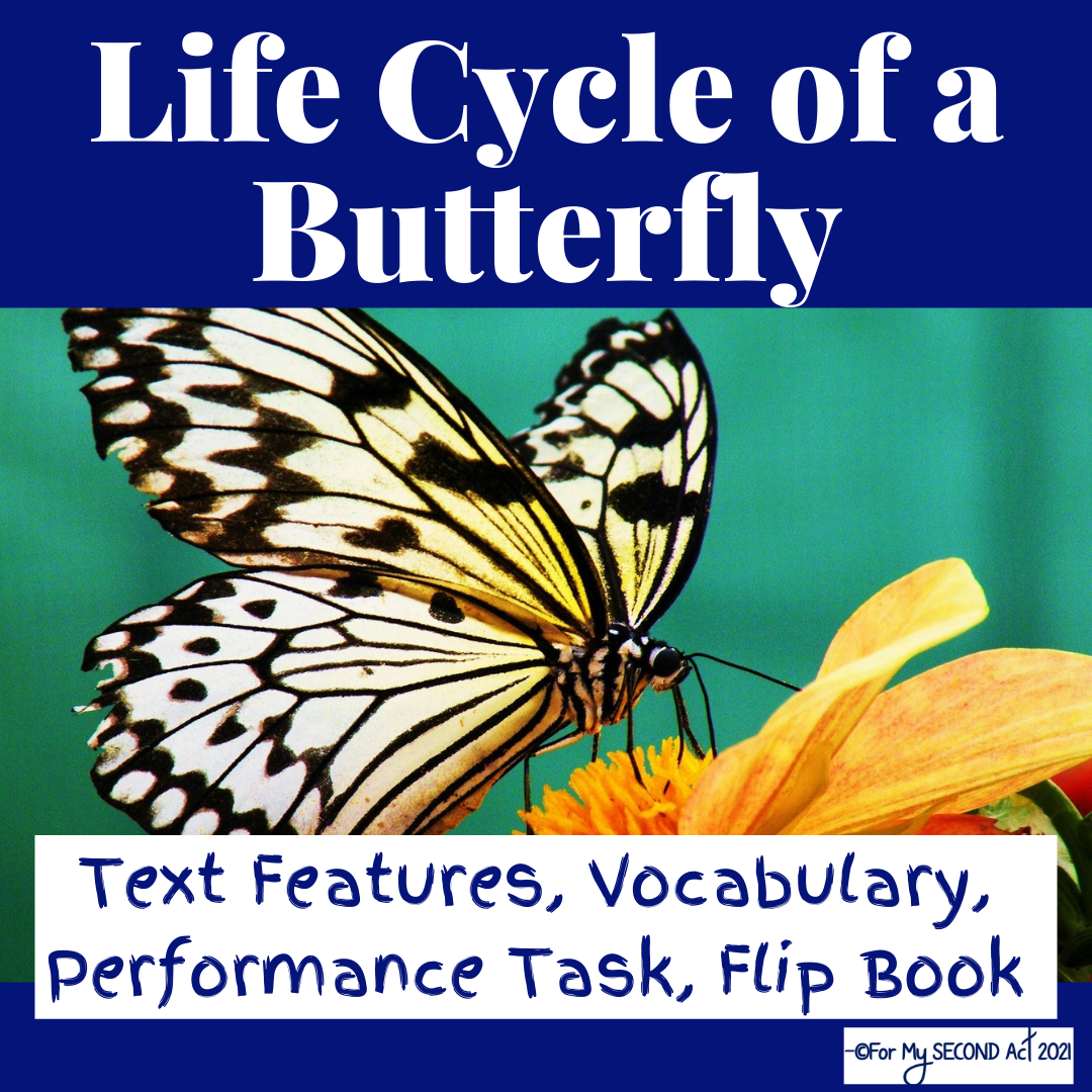 Life Cycle of A Butterfly Video - For My Second Act