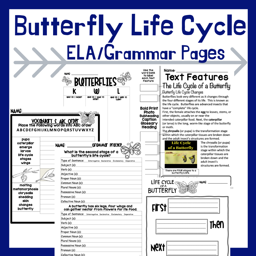 life-cycle-of-a-butterfly-printables